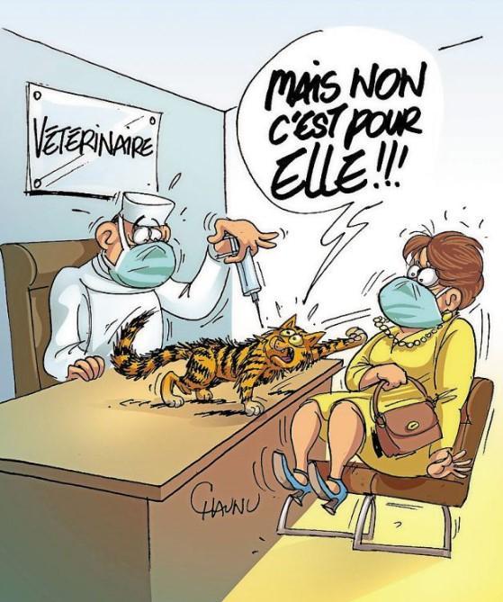 Vaccination Chez le Vétérinaire