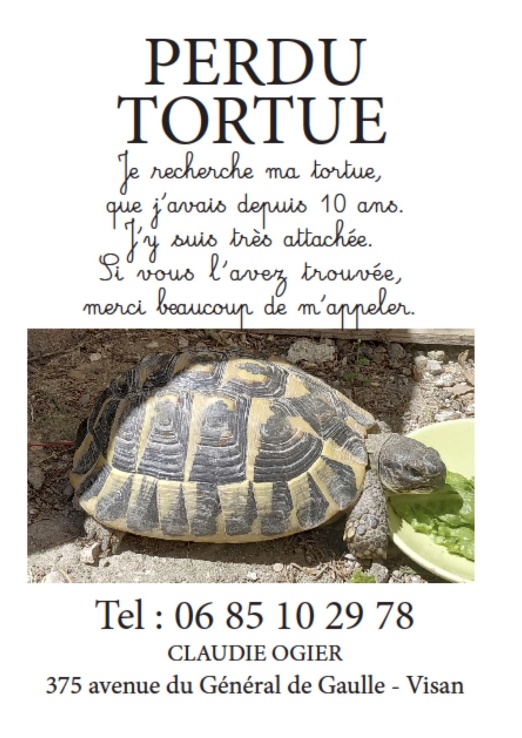 Recherche Tortue