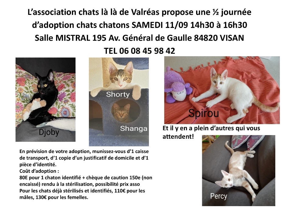 Chats La La