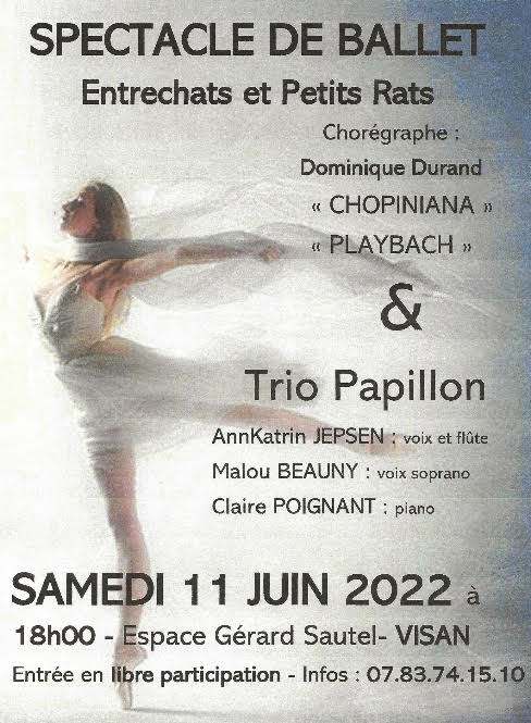 Affiche Spectacle de Ballet