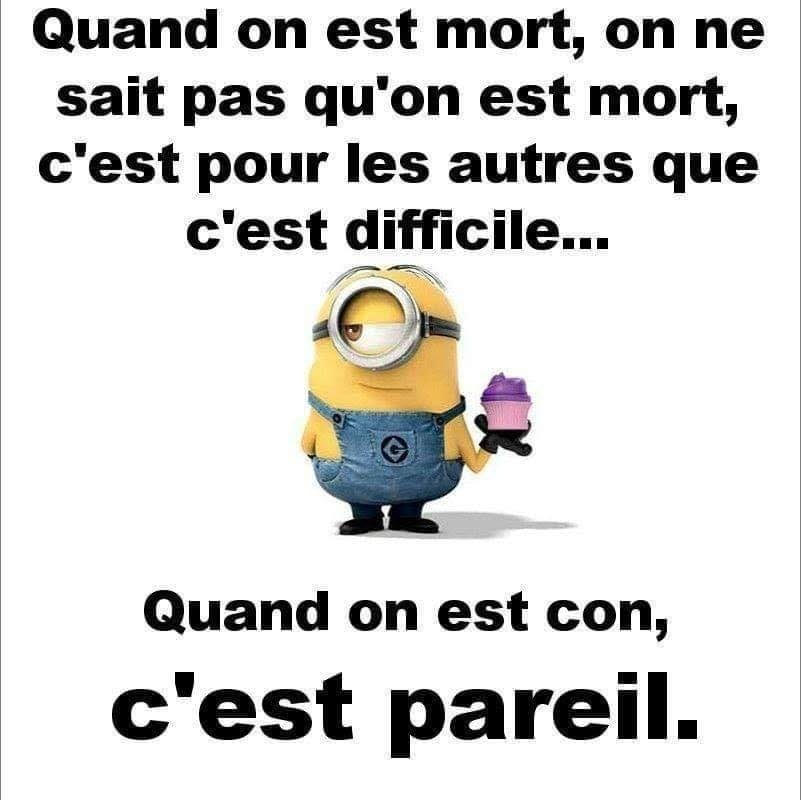 Humour