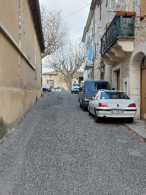 Crottes de chien dans la rue