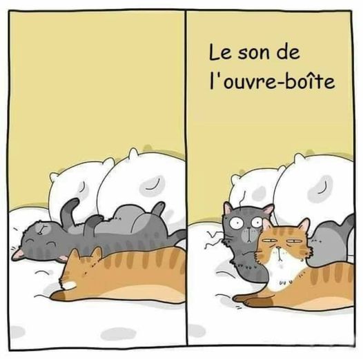 Humour